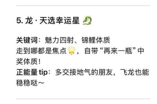 博命与生肖：探索属相背后的智慧与力量