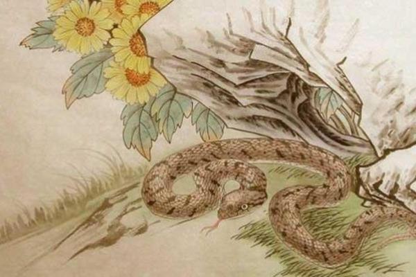 188年属蛇，命理解析与性格特点探究