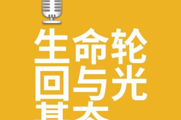 命之源：探寻生命的本质与意义