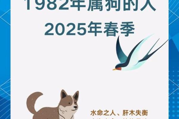 1972年属狗人的命运解析：你是否心怀梦想？
