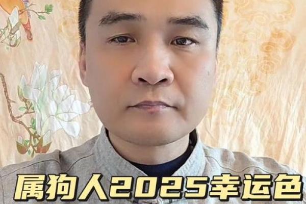 1972年属狗人的命运解析：你是否心怀梦想？