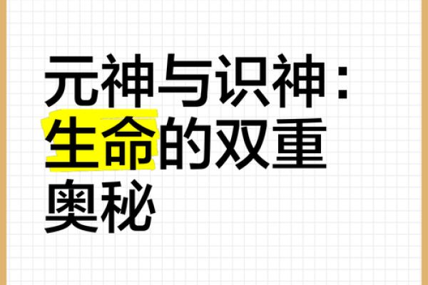 神子1命要补2命吗？探讨命理学的奇妙与复杂性