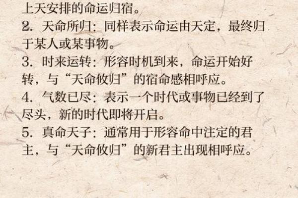 命运与成语：揭秘“身”字背后的智慧与哲理