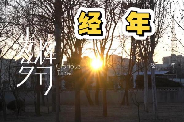探寻金命的辉煌岁月：哪一年最适合金命人士？
