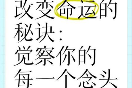 解读你的命运：今生的命格与人生轨迹