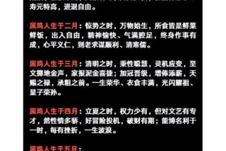 2024年属鸡的命运走向：从五行角度解析机遇与挑战