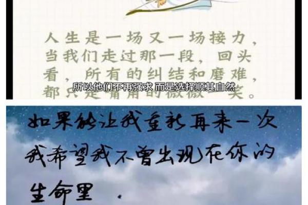探寻一九四八的命格：宿命与选择的交织