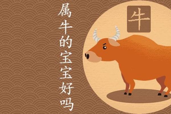 2009年牛宝宝的命运解析：生于牛年的孩子们有什么特别之处？