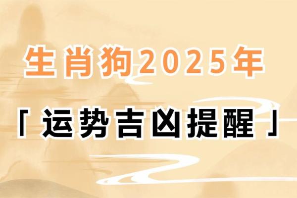 982年属狗：命理解析与人生运势探讨