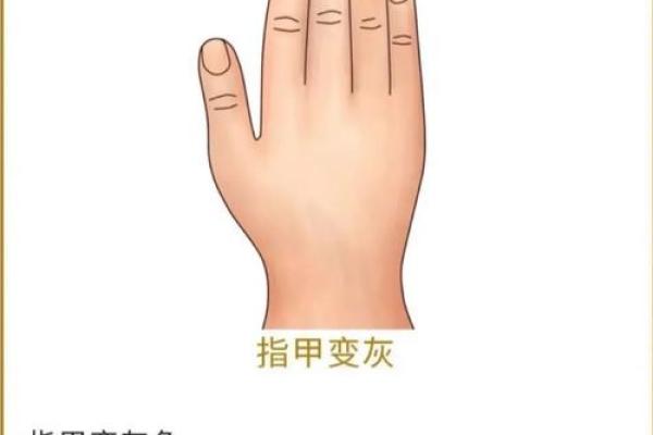 指甲不平的命格解析：让你了解自己的命运之路