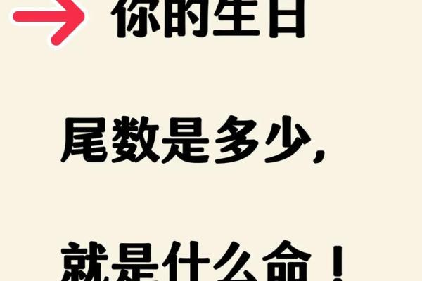 命运如绳，人生可系——探讨“命”和“绳子”的深刻寓意