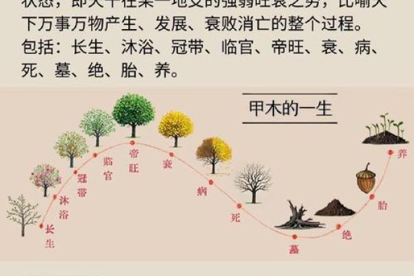 命理五行奥秘：揭示你未知的命格!