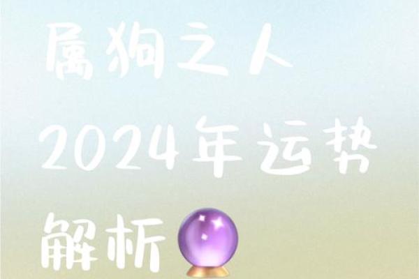 属狗人在7月28日的命运解析：追寻幸福与成功的道路
