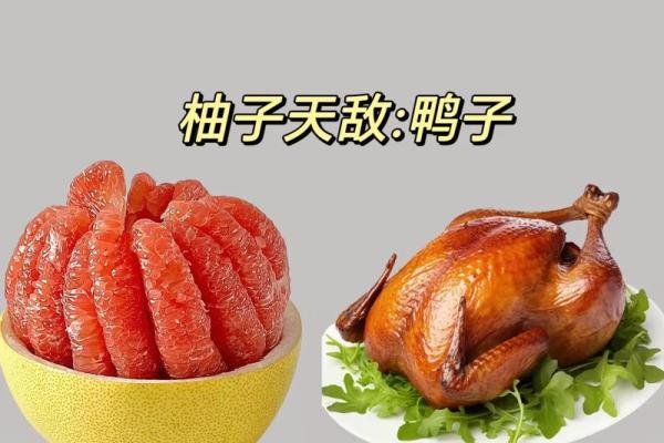吃命之母，食物与生命的奇妙关系