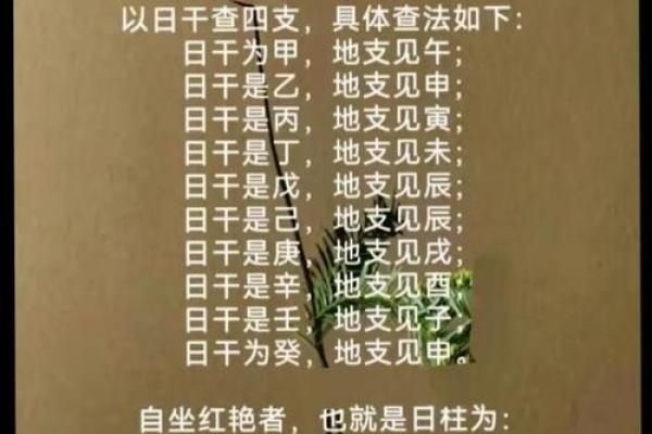 适合什么命的人？探索命理与运势的奥秘！