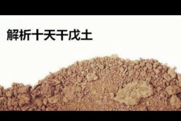 城墙土命：喜忌解析与生活指南，助你走向富贵人生！