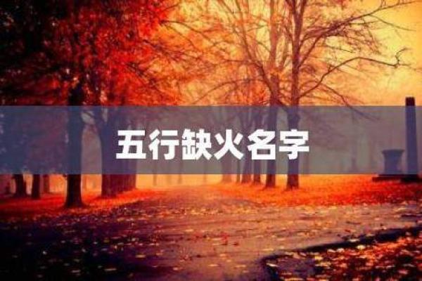 火命人的健康风险与预防：从内火到外寒的全方位解析