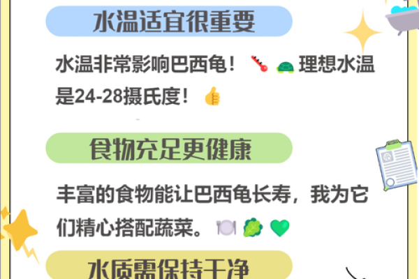 为什么传说乌龟长命百岁？探寻其背后的秘密与象征意义