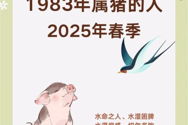 1971年属猪的人什么命？探索他们的命理与生活之路！
