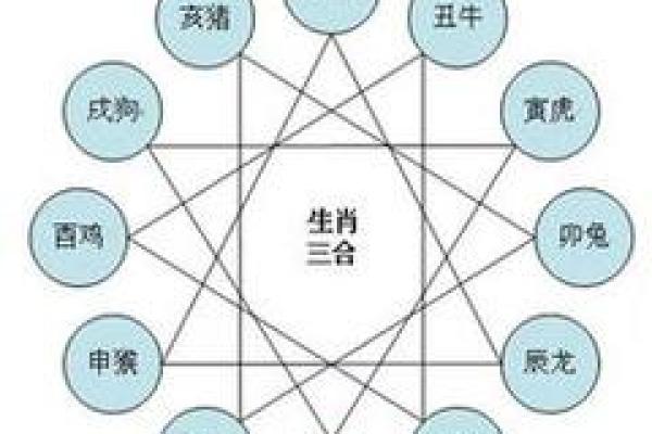 属相命理：如何通过生肖了解你的命运与性格