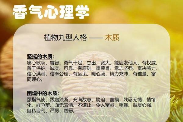 了解木命人的特点与命理解析，让你更深刻认识自己