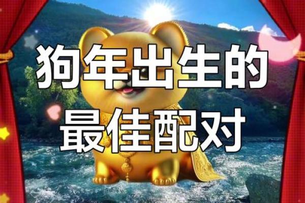 2006年是狗年，属狗人的命运与性格分析