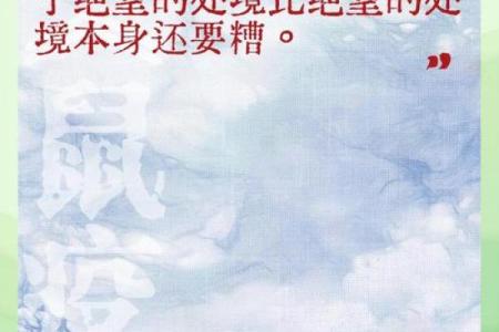 探索“命换命”的哲学：生命的价值与取舍