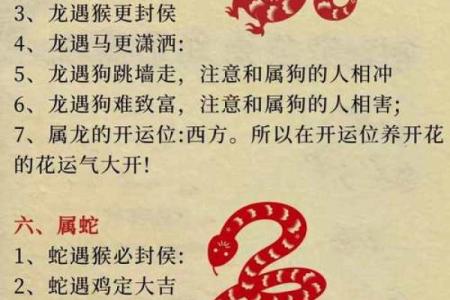 揭示命运之谜：属相与命格如何交织成生命的轨迹？