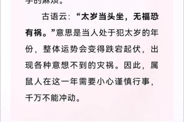 2022年鼠宝宝命理解析：幸福与挑战并存的命运之旅