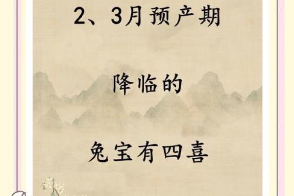 2024年孩子的命运：探秘兔年出生的孩子性格和运势
