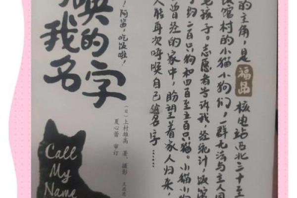 回顾2001年9.21，重温坚韧与希望的故事