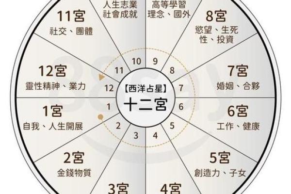 1981年出生的人：属于谁的命？探寻五行与命运的奥秘