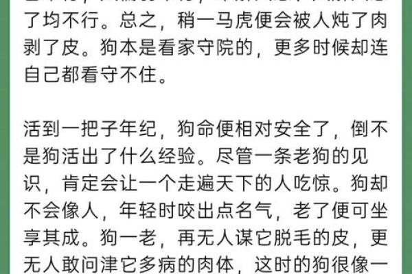 一九七零年出生的朋友们：揭秘属狗命的生活智慧与人生策略