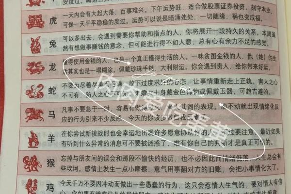 2024年属龙女孩命运解析：独特个性与人生轨迹