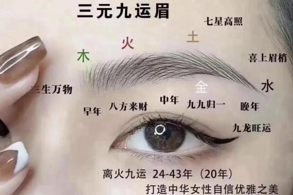 眉毛向上长的人命运解析：平步青云还是曲折坎坷？