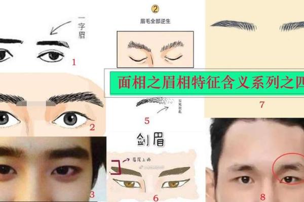眉毛向上长的人命运解析：平步青云还是曲折坎坷？