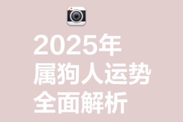 命运在狗年：探索30岁属狗人的人生轨迹与特质