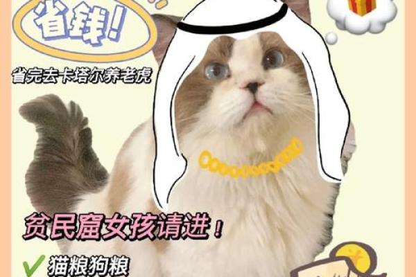 石榴木命的养宠秘籍：适合的动物与你的财富运势