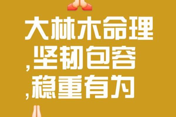 己巳日命的忌讳与避雷指南：揭示命理背后的秘密