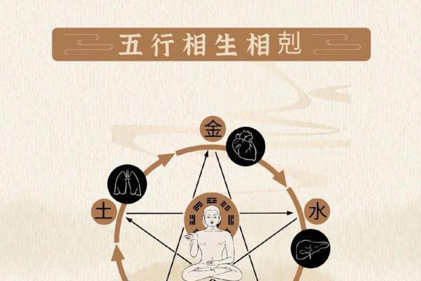 属鼠1953年命运解析：如何运用五行学实现人生理想
