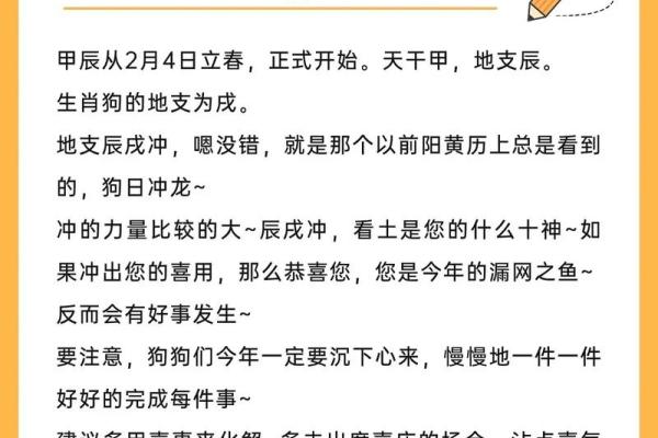 属狗的宝宝：2024年将迎来怎样的命运？