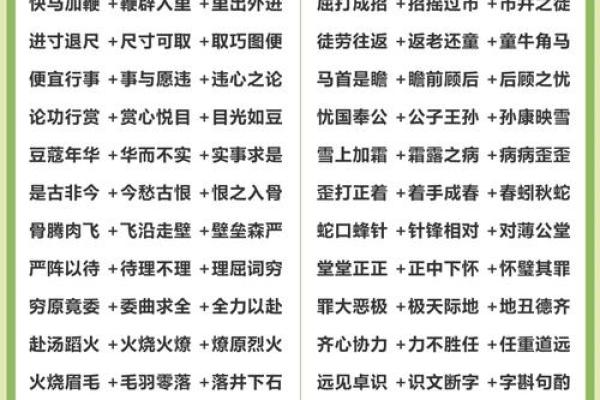 成语接龙：从命运到意境的精彩旅程