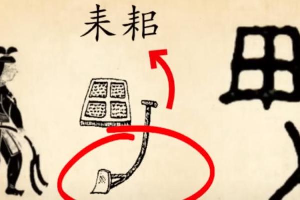命理书最后的智慧：人生的导航与选择之道