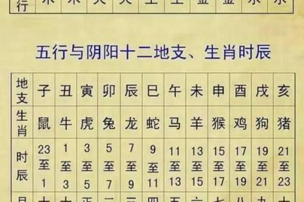 如何轻松判断自己的命属什么？探索生肖与命理的奥秘