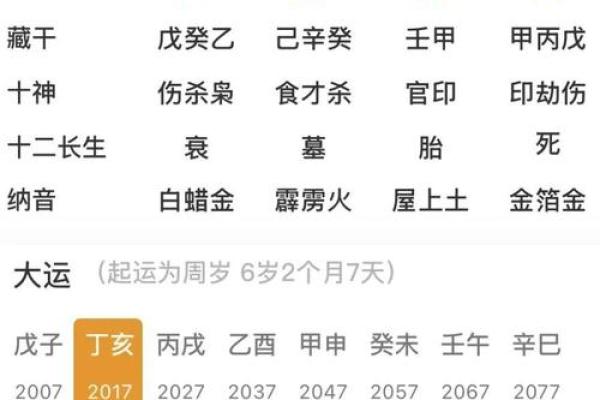 明年是什么命？解读2024年的命理运势与生活建议