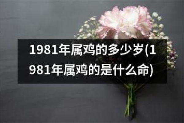 属鸡之命：二零零四年出生的你，命运与幸运的探讨