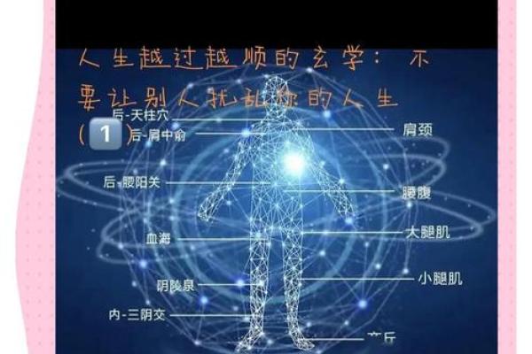 2078年属什么命，解密未来人的命运与人生轨迹