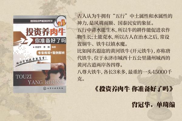 根据生肖与五行命理，养牛的最佳人群揭秘