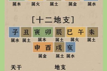 命理学的魅力：我为何痴迷于这门古老的智慧之学