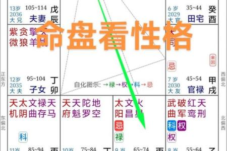 命主命盘中的兄弟紫薇科解析：财运、事业与人际关系的深刻影响